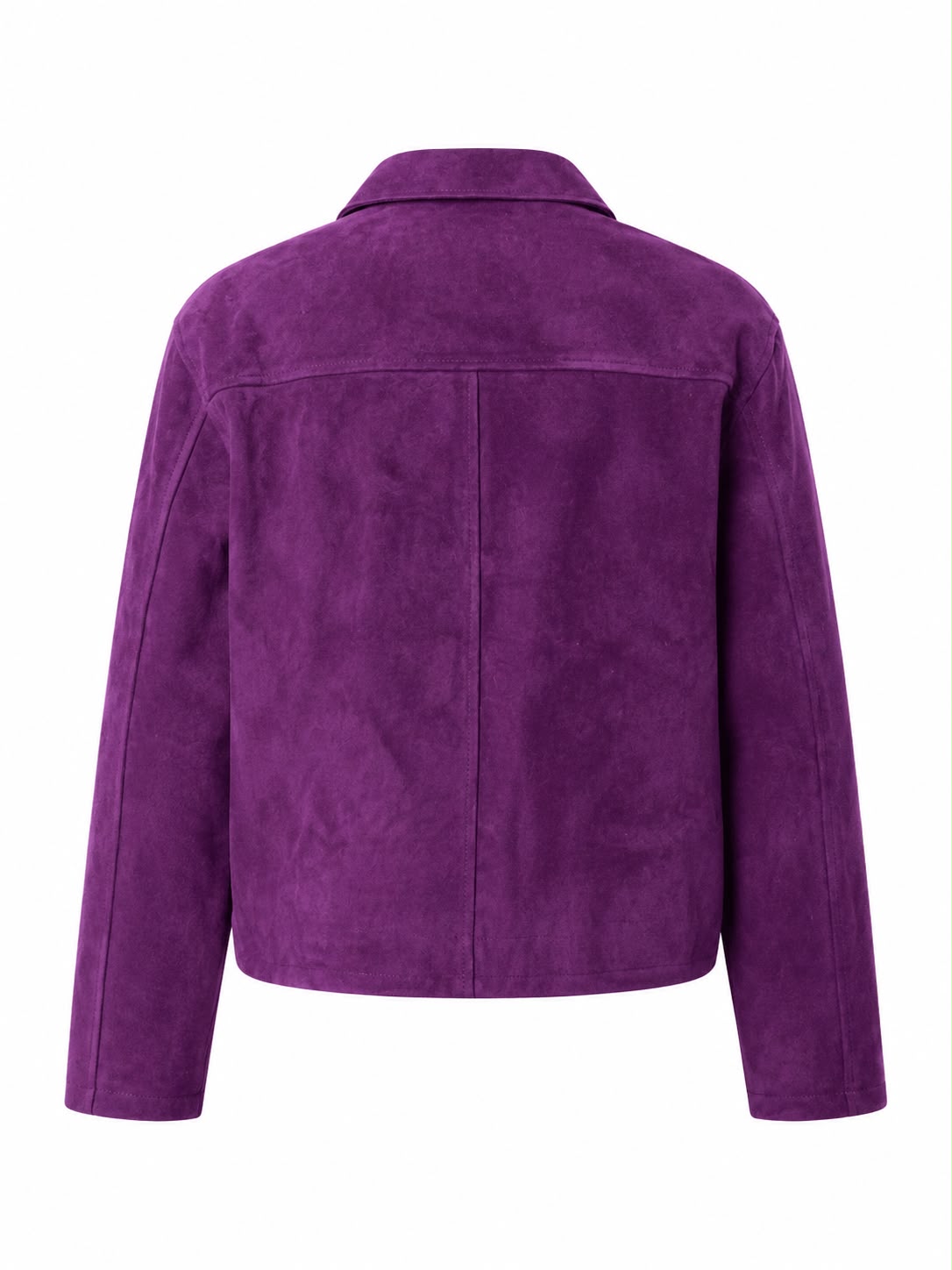 ARA Suede Leather Jacket – back